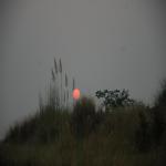 Vraj-Yatra-2014- (200)